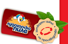 Затворен цикъл на производство